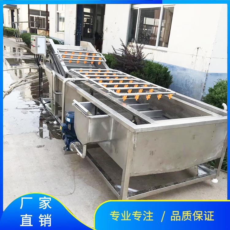 科力德食品级不锈钢蔬菜清洗机 杨梅清洗机 枸杞清洗机 多功能果蔬清洗机