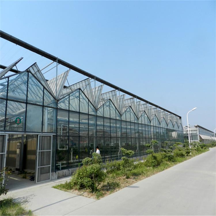 智能温室大棚承建 承接智能大棚工程 鸿川温室