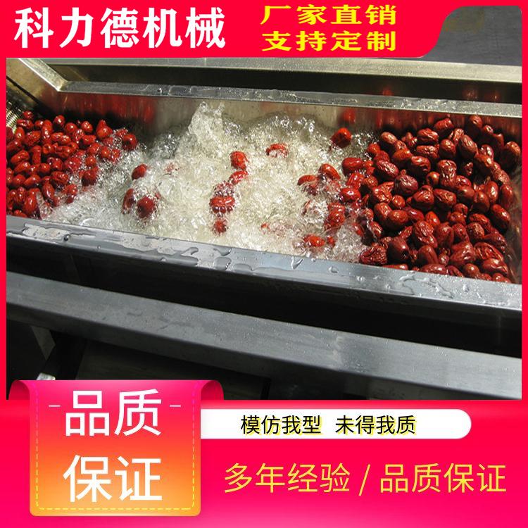 厂家供应茶树菇气泡喷淋清洗机 车厘子清洗机 荔枝清洗机可加工定制
