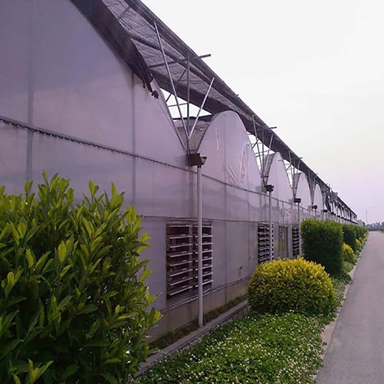 连栋大棚GLP832 8430连栋温室建造蔬菜温室大棚多少钱