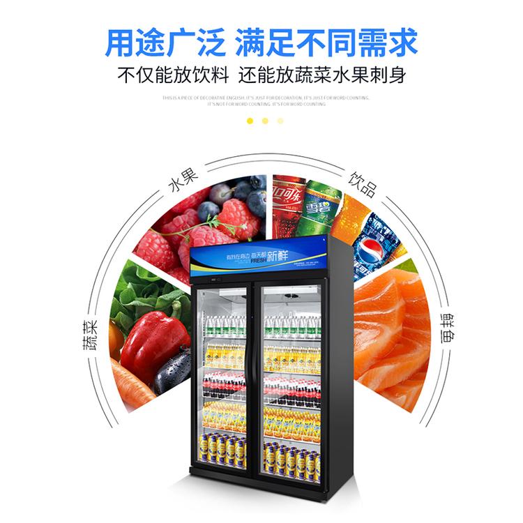 双门啤酒柜 啤酒冷藏展示柜 豪华啤酒柜 商超专用冷藏展示柜