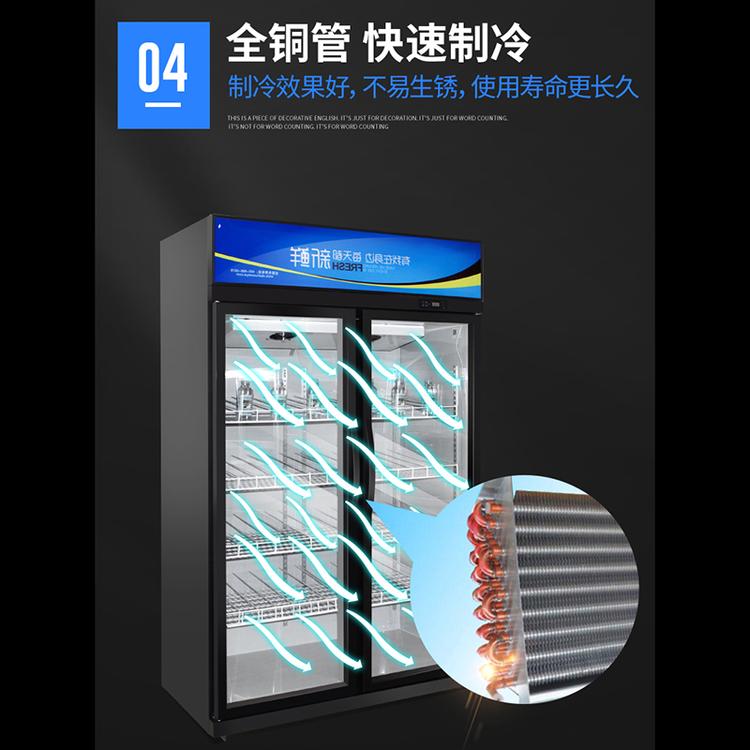 加工定制单门 双门啤酒柜 啤酒 饮料矿泉水冷藏展示柜 商用冷藏柜