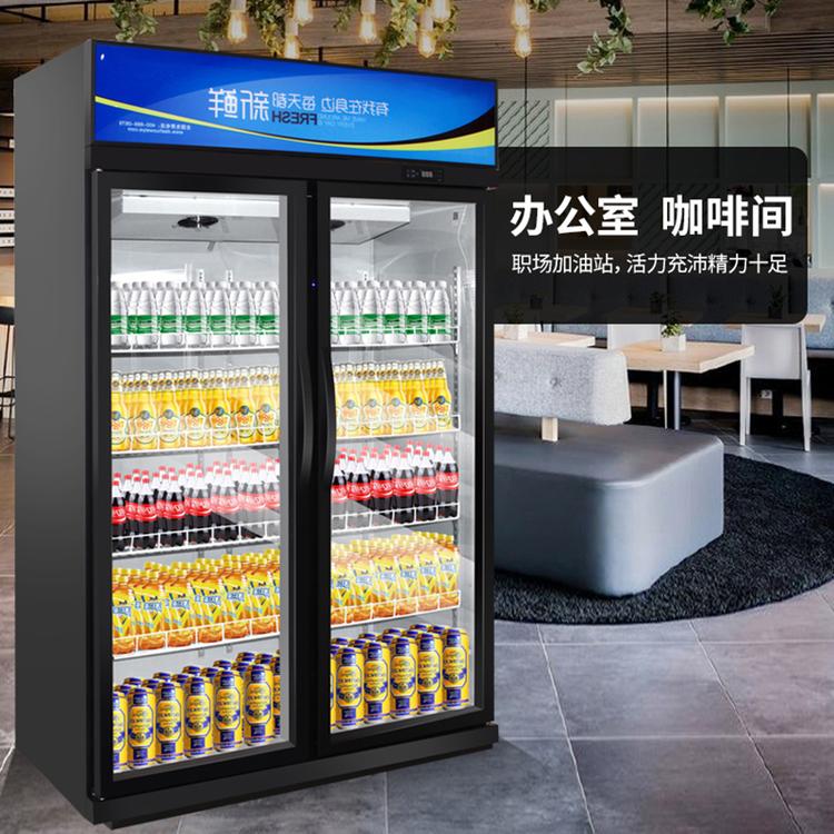啤酒柜 立式冷藏展示柜 超市 便利店饮料冷藏展示柜 双门展示柜