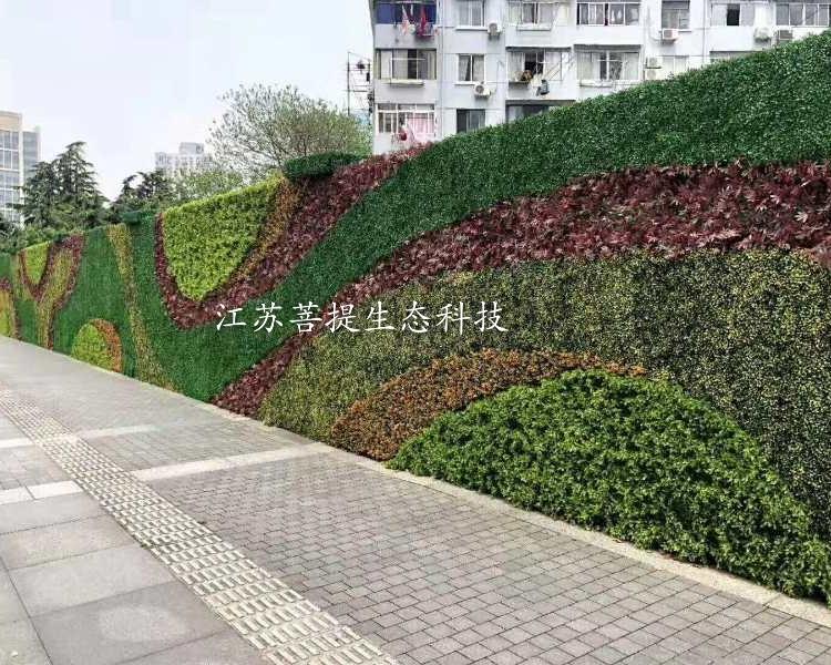 苏州仿真植物墙 植物墙厂家
