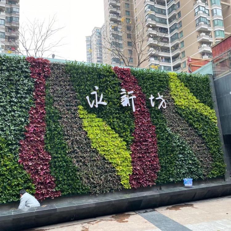 仿真植物墙公司绿化墙室内绿墙