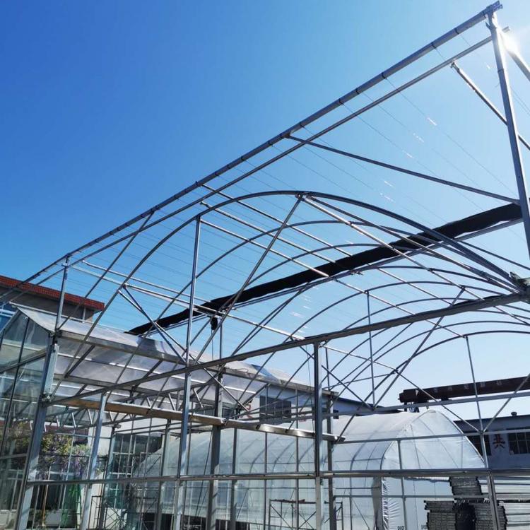 纹络型玻璃温室 专业承建温室大棚建设厂家 金威温室公司样品大棚展示