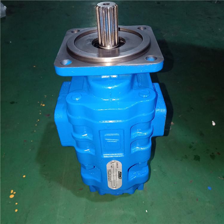龙工压路机双联泵厂家 P5100-F100NP367 6/P124-G25G 泊姆克齿轮泵