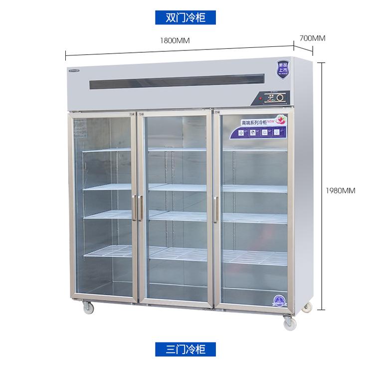 玻璃冷柜 双门玻璃冷柜 商用冷藏展示柜 啤酒饮料保险柜