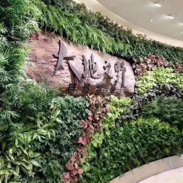 江苏菩提  无锡植物墙 仿真植物墙厂家