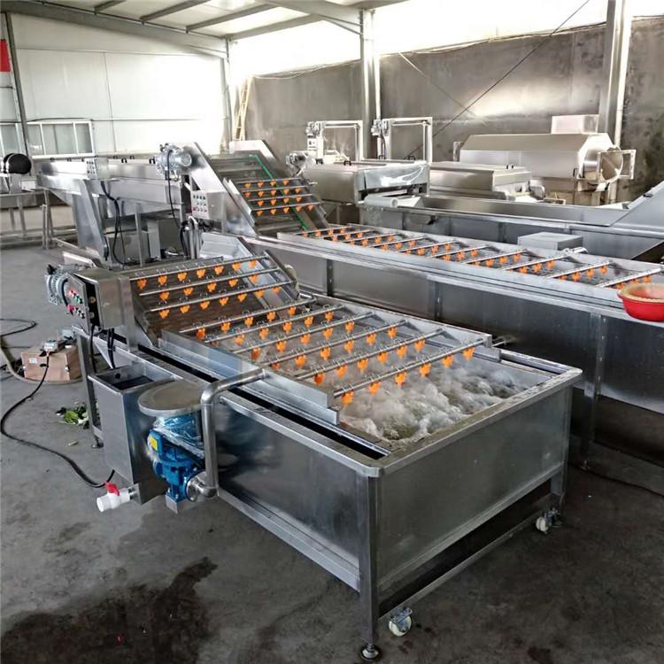 果蔬清洗机 桑葚去泥加工挑选生产线 制造商