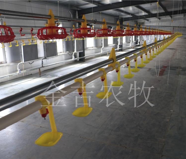 养鸡畜牧喂养水线  优质鸡全自动水线