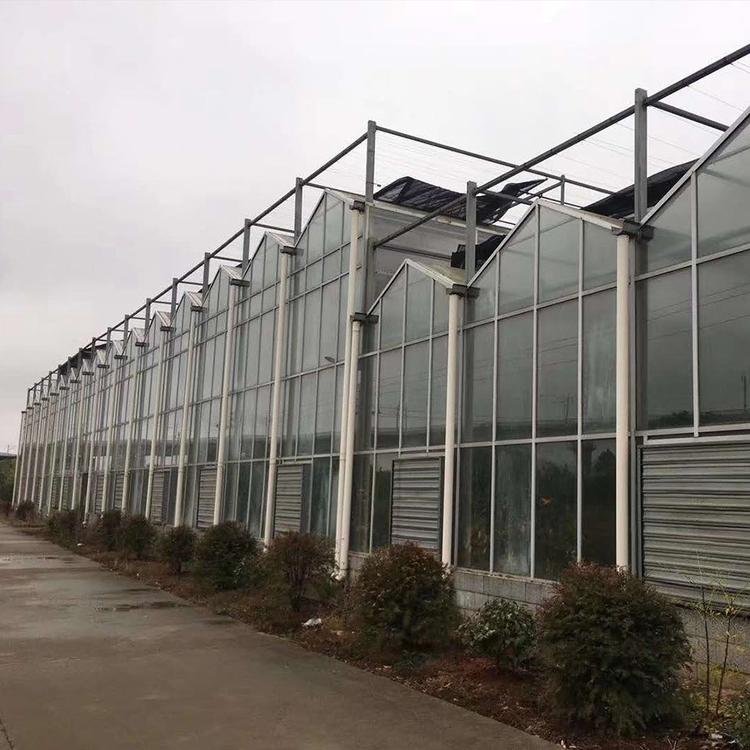 玻璃温室 玻璃温室蔬菜大棚 温室工程承接