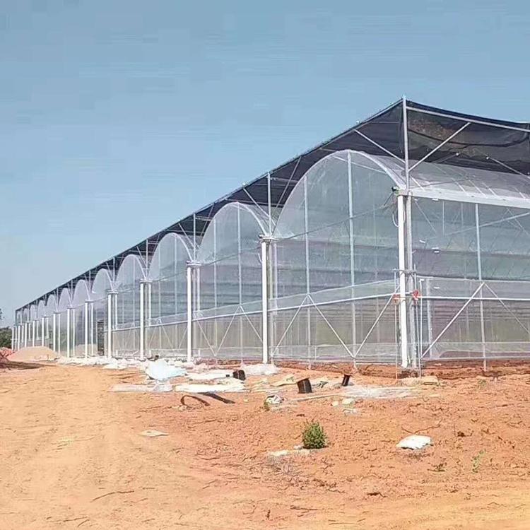 建设连栋薄膜温室 连栋温室 价格优惠