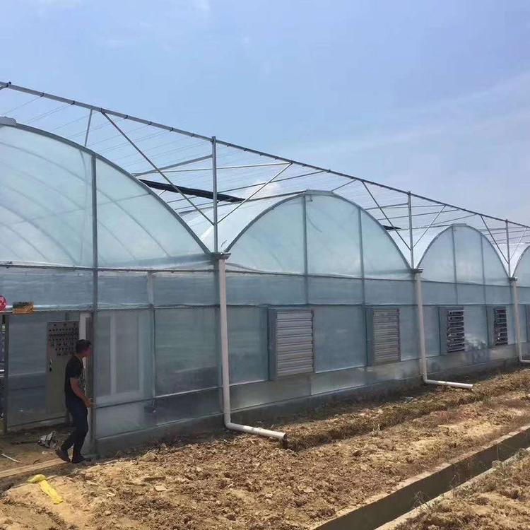 连栋薄膜温室 薄膜连栋温室 青州温室公司金农建造