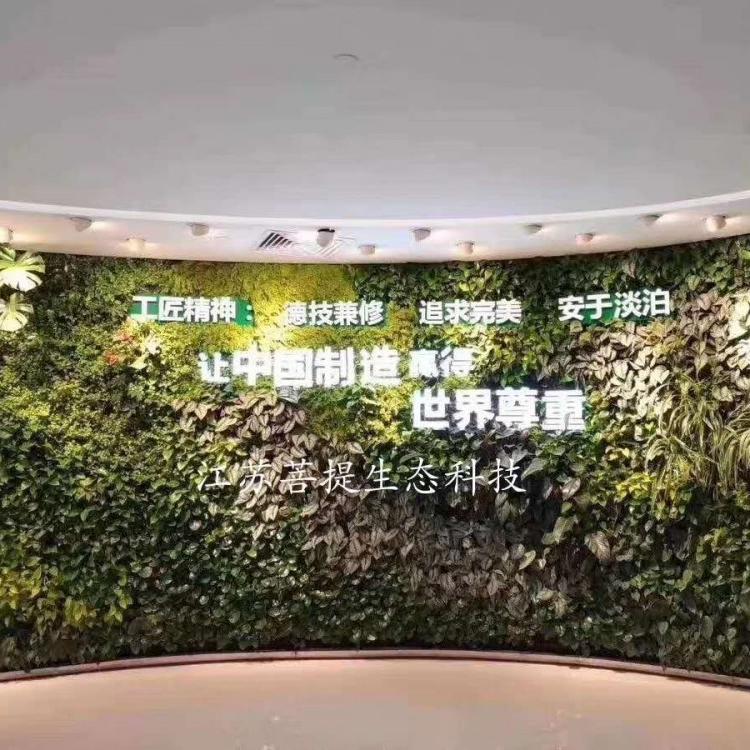 昆山仿真植物墙厂家批发 墙面仿真绿植  绿化墙