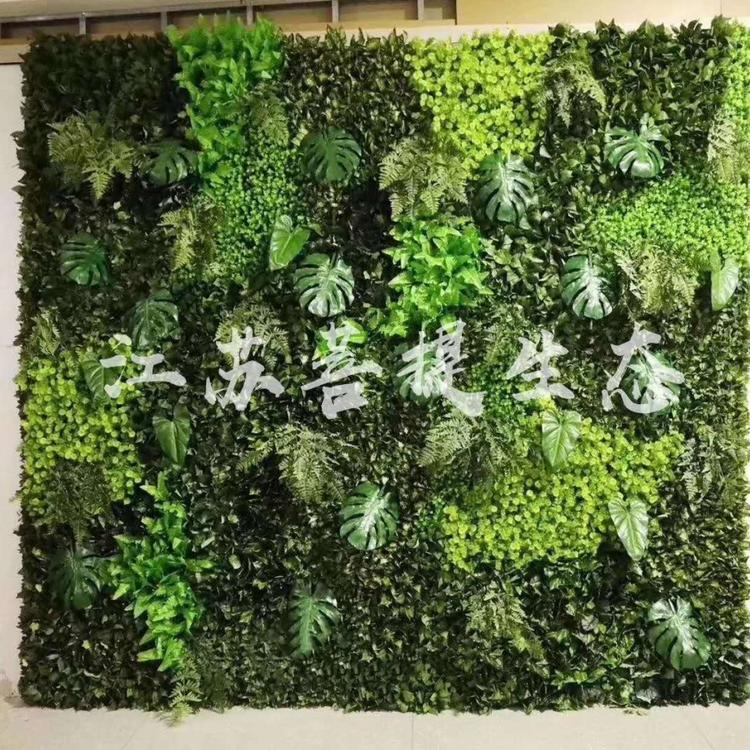 常州立体绿化 垂直绿化 仿真植物墙厂家 植物墙公司
