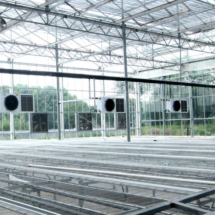 温室花卉大棚工程 玻璃温室工程 青州爱信机械