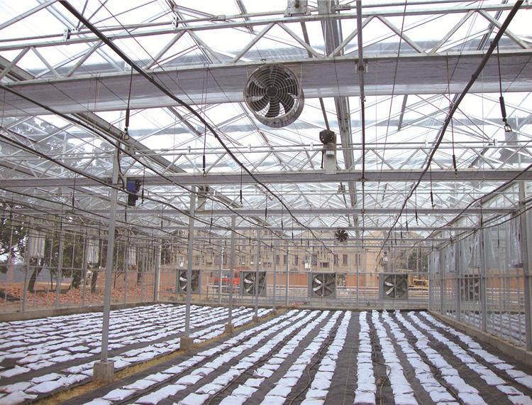 温室工程薄膜大棚 温控工程解决方案 找我们就对了 农业温室温控工程 青州爱信机械