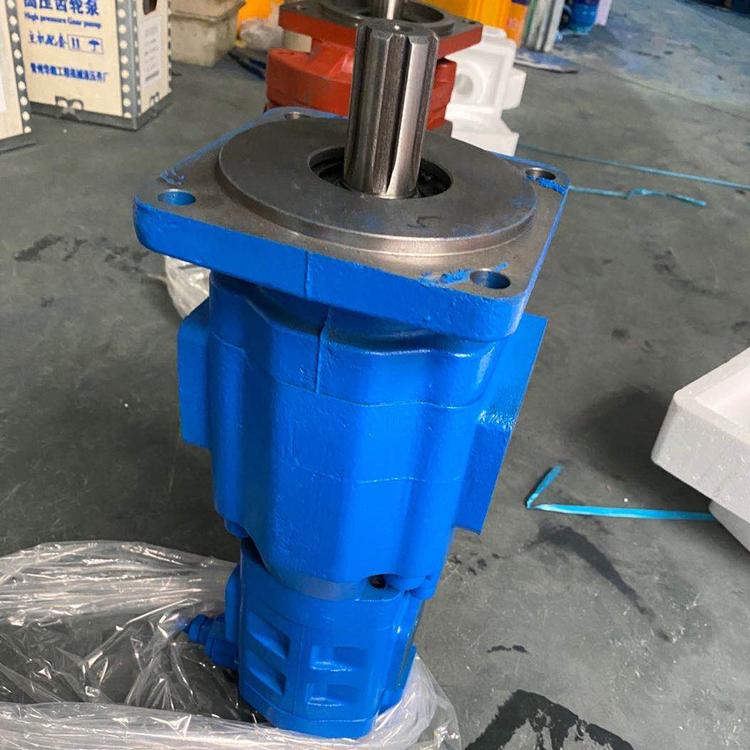 JHP20010系列双连齿轮油泵-便宜的JHP20010系列双连齿轮油泵报价-贴心为您服务