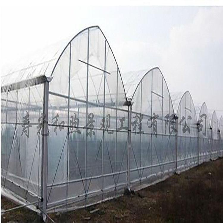 薄膜连栋温室大棚 山东温室大棚建设报价 连栋温室大棚 温室大棚规划