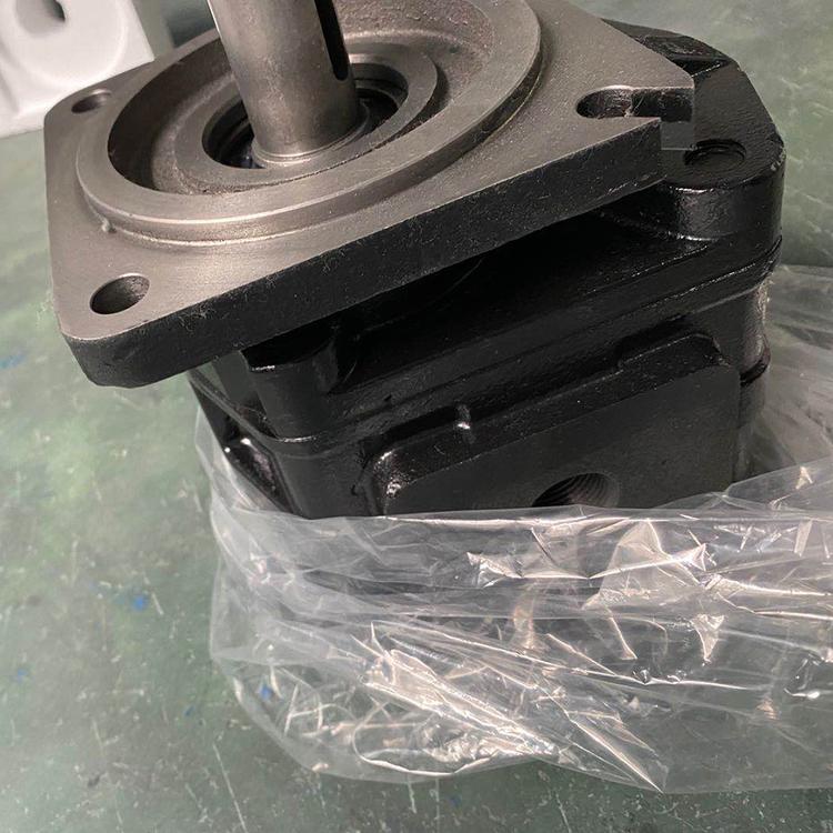 齿轮泵生产厂家  齿轮油泵供应商  JHPA2齿轮油泵