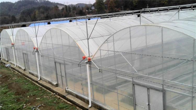 连栋大棚薄膜 多功能大棚薄膜连栋温室   博盛建造
