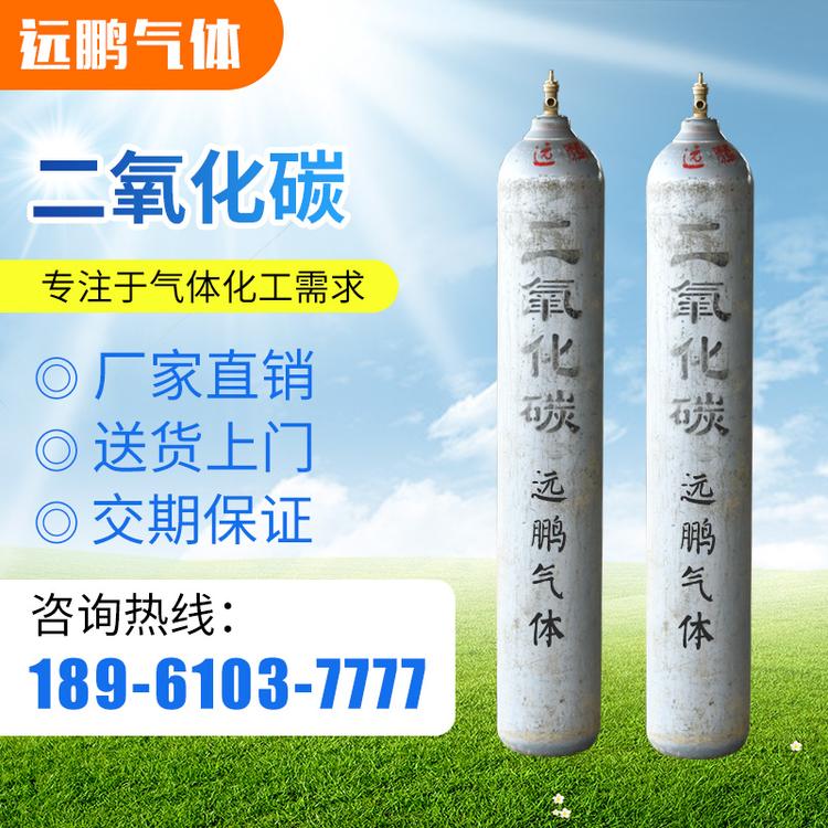 厂家直销二氧化碳  瓶装二氧化碳工业二氧化碳资质齐全 量大从优