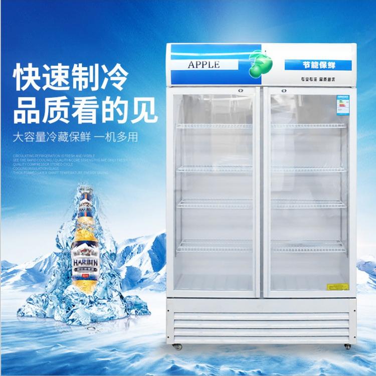 厂家直销啤酒柜 超市冷藏保鲜柜 便利店冷柜