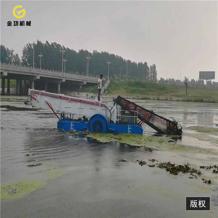 水花生收集船  江苏水葫芦打捞船  全自动垃圾打捞船