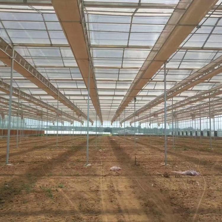 批发薄膜连栋温室大棚 阳光板温室 日光温室大棚 温室配件材料