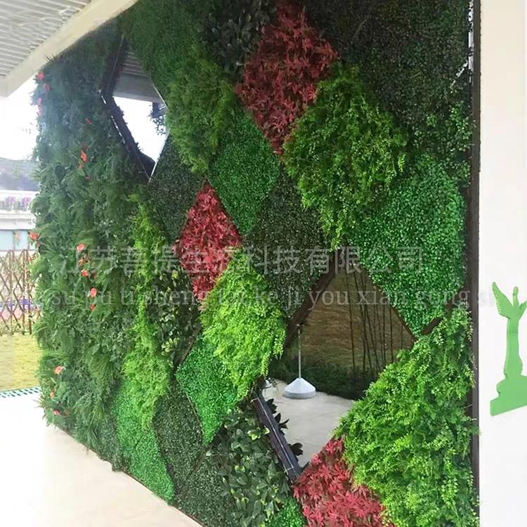 昆山仿真植物墙公司 立体绿化 垂直绿化公司 植物墙厂家定制