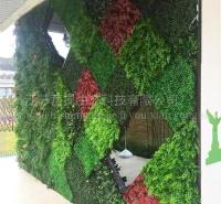 昆山仿真植物墙公司 立体绿化 垂直绿化公司 植物墙厂家定制