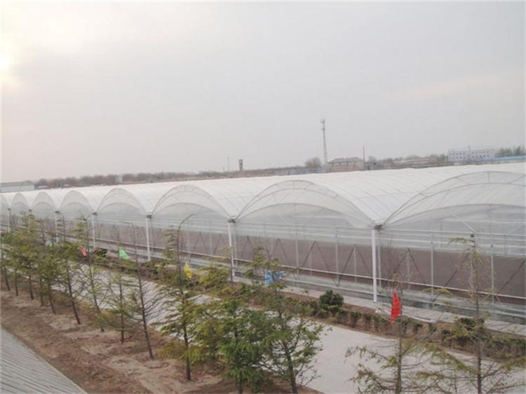 薄膜大棚厂家 薄膜连栋厂家 单栋大棚厂家 大棚工程厂家 天之蓝温室