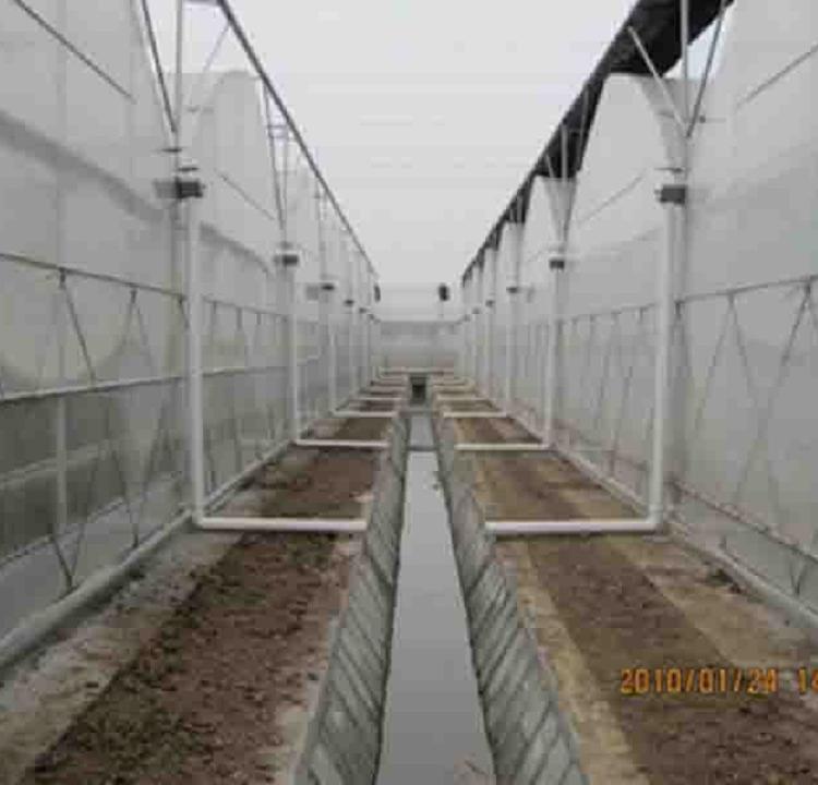 鸿运达温室承建连栋温室大棚-连栋温室建造