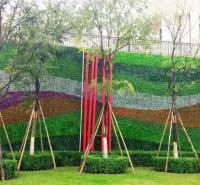 常州仿真植物墙公司 立体绿化 垂直绿化公司 植物墙厂家定制 绿植墙