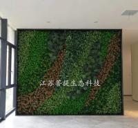 江阴仿真植物墙公司 立体绿化 垂直绿化公司 植物墙厂家定制 绿植墙