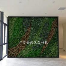 江阴仿真植物墙公司 立体绿化 垂直绿化公司 植物墙厂家定制 绿植墙