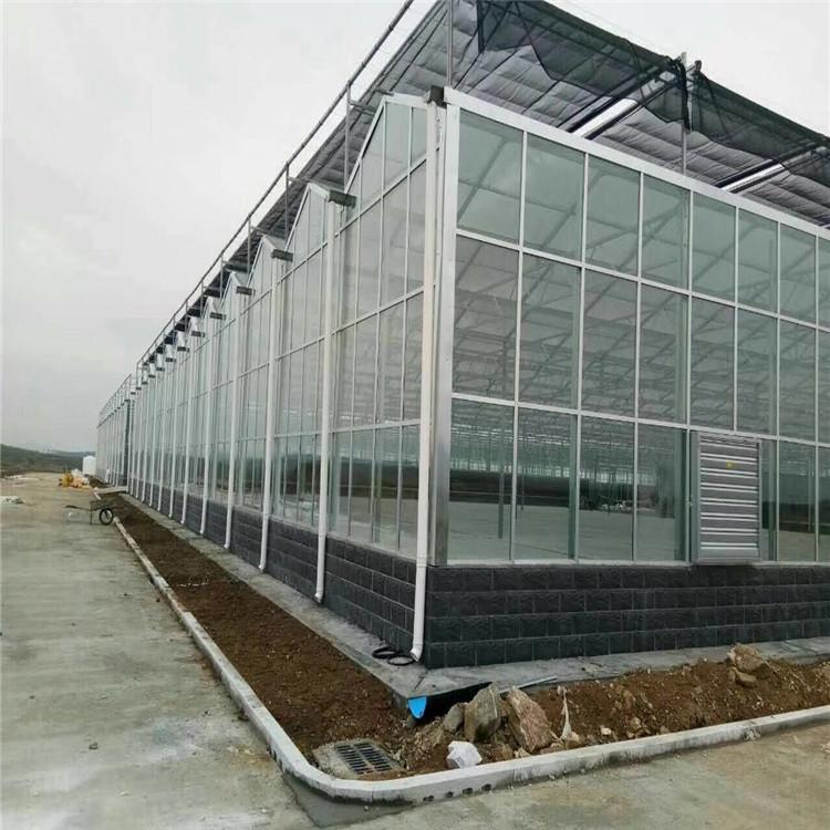 玻璃温室大棚 全国玻璃温室建造 玻璃温室报价 玻璃温室承建