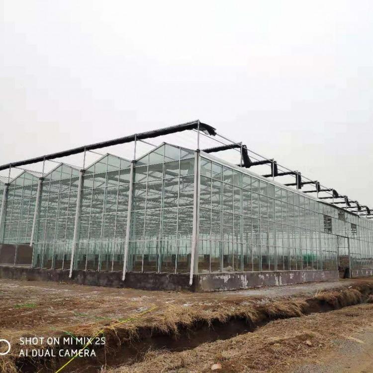 阳光板温室 鸿川温室厂家承接 PC板温室大棚建造