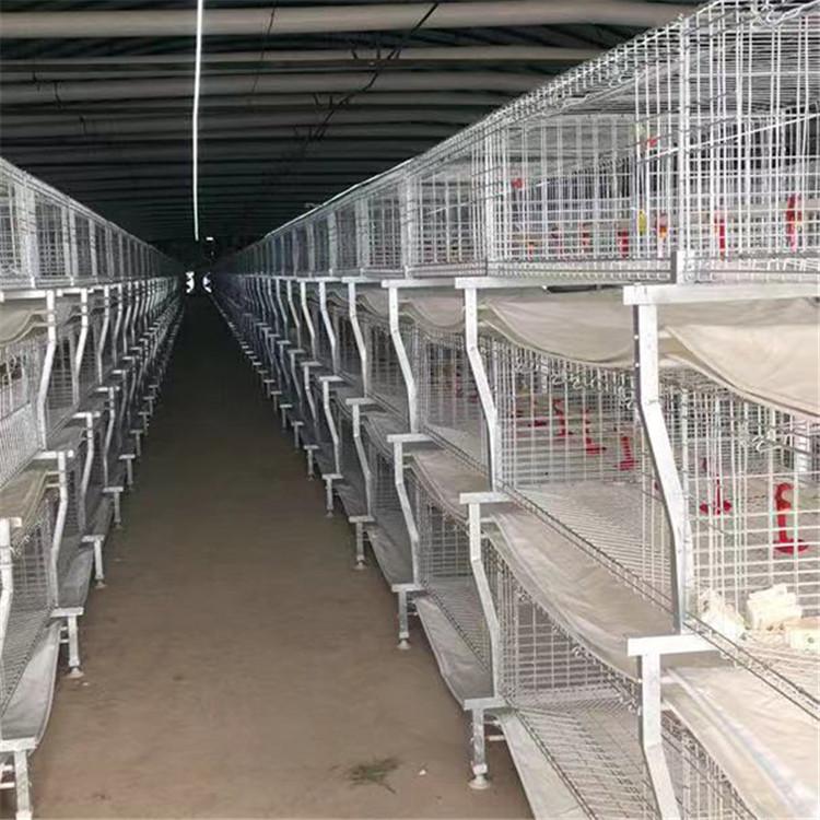 致电订购鸡笼   肉鸡养殖鸡笼供应  富博晟业农牧厂家