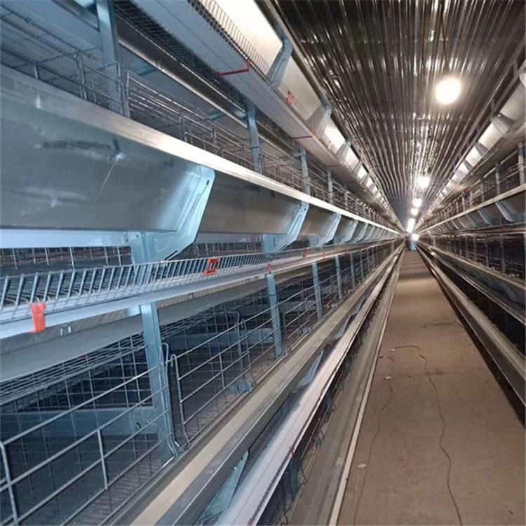 厂家销售鸡笼   供应肉鸡鸡笼   富博晟业农牧大量有货 价格优惠