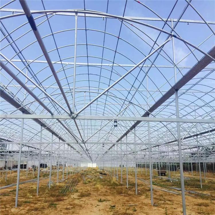 温室大棚建设 温室大棚厂家