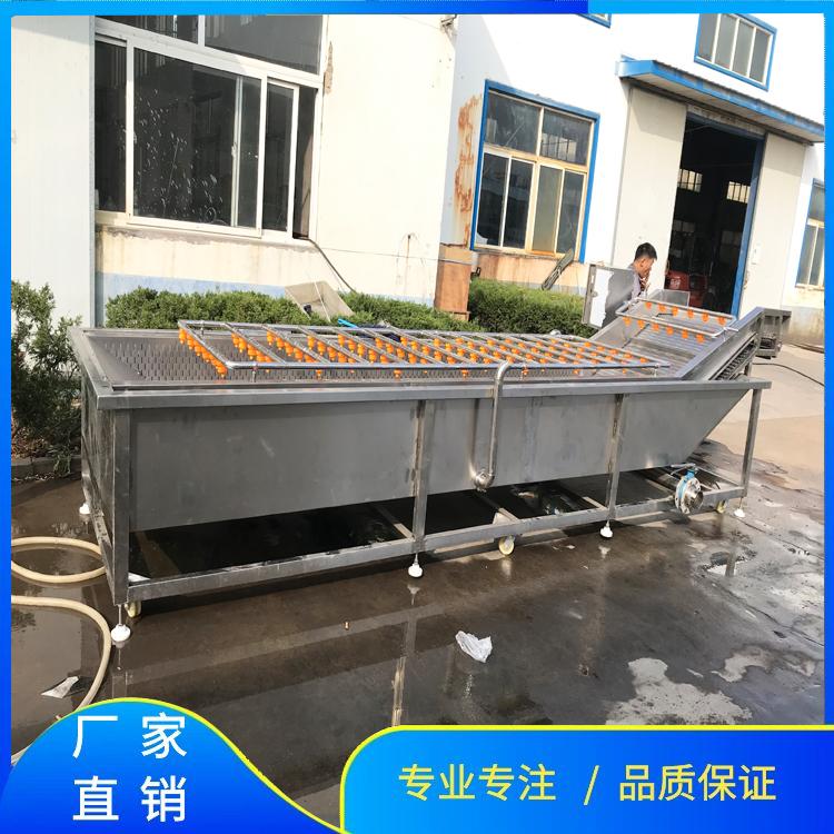 热销草莓蓝莓气泡清洗机 橙子清洗机 杏子清洗机 果蔬气泡清洗流水线