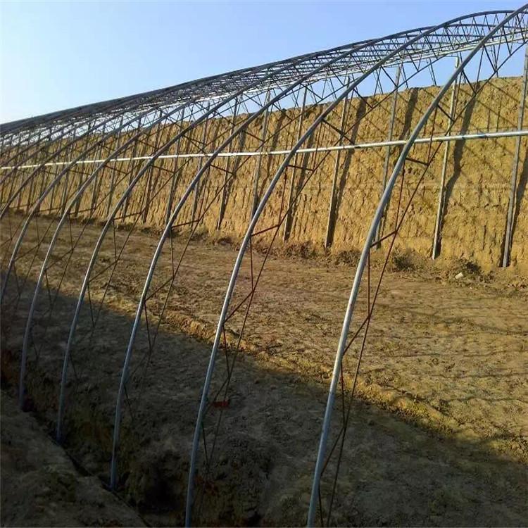日光温室 日光温室大棚 日光温室建设