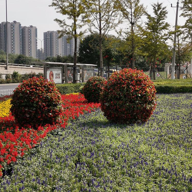 五色草立体绿化造型设计施工_城市立体花坛蘑菇_景观立体花坛造型