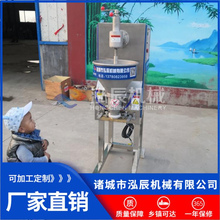 泓辰供应双速肉丸成型机 自动成型包心丸子机 撒尿牛丸制作丸子机