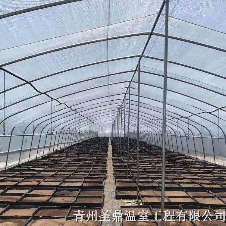 育苗日光温室大棚建设 日光温室大棚建造 日光温室大棚承建找圣鼎
