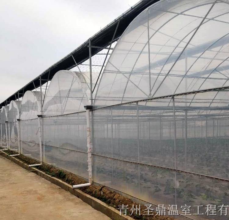 连栋温室大棚建设 连栋大棚建设 连栋大棚建造商-圣鼎