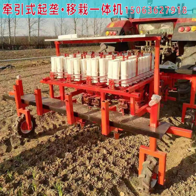洋葱移栽机厂家 洋葱移栽机供应商 洋葱移栽机生产商-军岩
