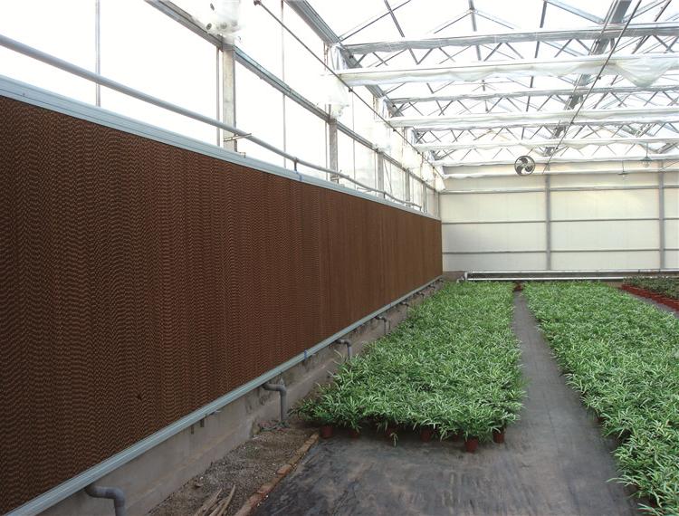 钢结构温室蔬菜大棚 薄膜温室工程大棚工程 大型养殖场配套工程  农业温室温控工程 青州爱信机械